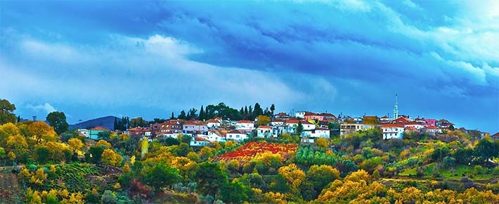 GÖDENCE TARIM KOOPERATİFİNİN ÖYKÜSÜ