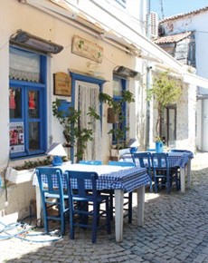 TARLADAN SOFRAYA ASMA YAPRAĞI