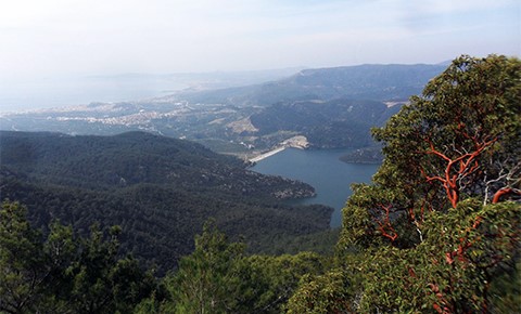 EFES-MİMAS YOLU