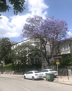 VALİ KONAĞI